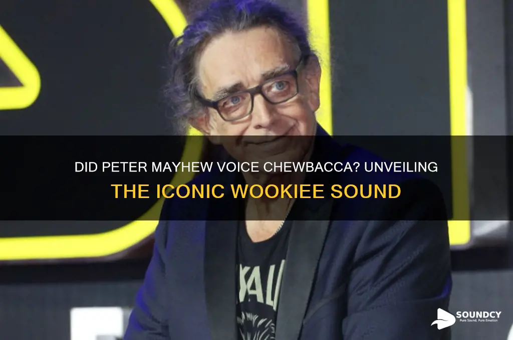 did actor make chewbacca sound