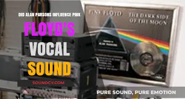 Alan Parsons' Impact: Shaping Pink Floyd's Iconic Vocal Style?