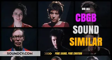 CBGB's Sonic Diversity: Debunking the Myth of Uniform Sound
