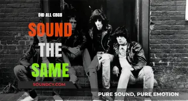 The CBGB Sound: Was It All the Same?