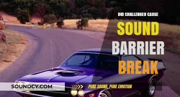Challenger: Breaking the Sound Barrier?