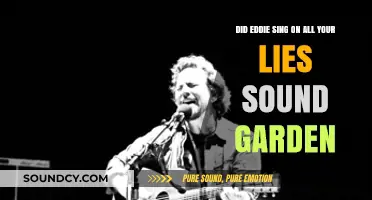 Eddie Vedder's Vocals: Unraveling the Truth Behind 'All Your Lies