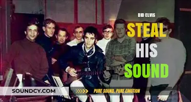 Elvis' Sound: Stolen Genius or Cultural Fusion?