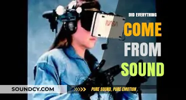 Did Everything Come From Sound? Exploring the Vibrational Origins of Reality