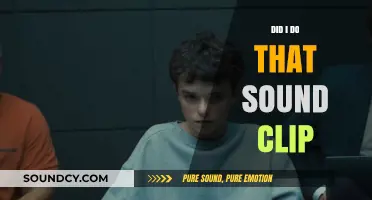 Did I Do That?" Sound Clip: Memorable Catchphrase or Cringe