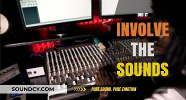 Did It Involve the Sounds? Exploring the Role of Audio in Experiences