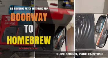Nintendo Patches Sound App: Homebrew Doorway Closed or Still Open?