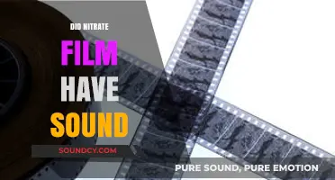 Nitrate Film and Sound: Unraveling the Silent Era's Audio Mystery