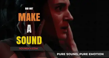 Silent Moments: Exploring the Power of 'Did Not Make a Sound