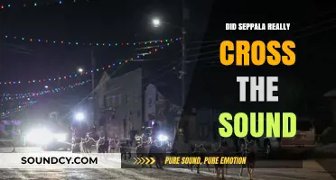 Seppala's Historic Sound Crossing: Fact or Fiction?