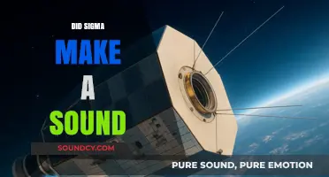Did Sigma Make a Sound? Exploring the Science Behind Silent Signals