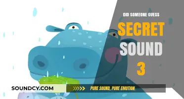 Who Guessed the Secret Sound?