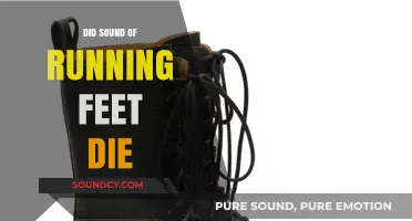The Fading Sound of Running Feet