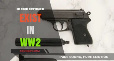 Suppressors in WWII: A Quiet Revolution