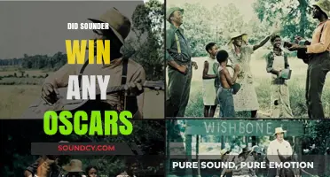 Sounder's Oscar Legacy: Did the Film Win Any Academy Awards?