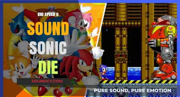 Sonic's Death: The Truth About Speed-o'-Sound Sonic's Fate