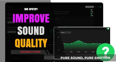 Spotify's Sound Quality Upgrade: Enhanced Listening Experience or Marketing Hype?