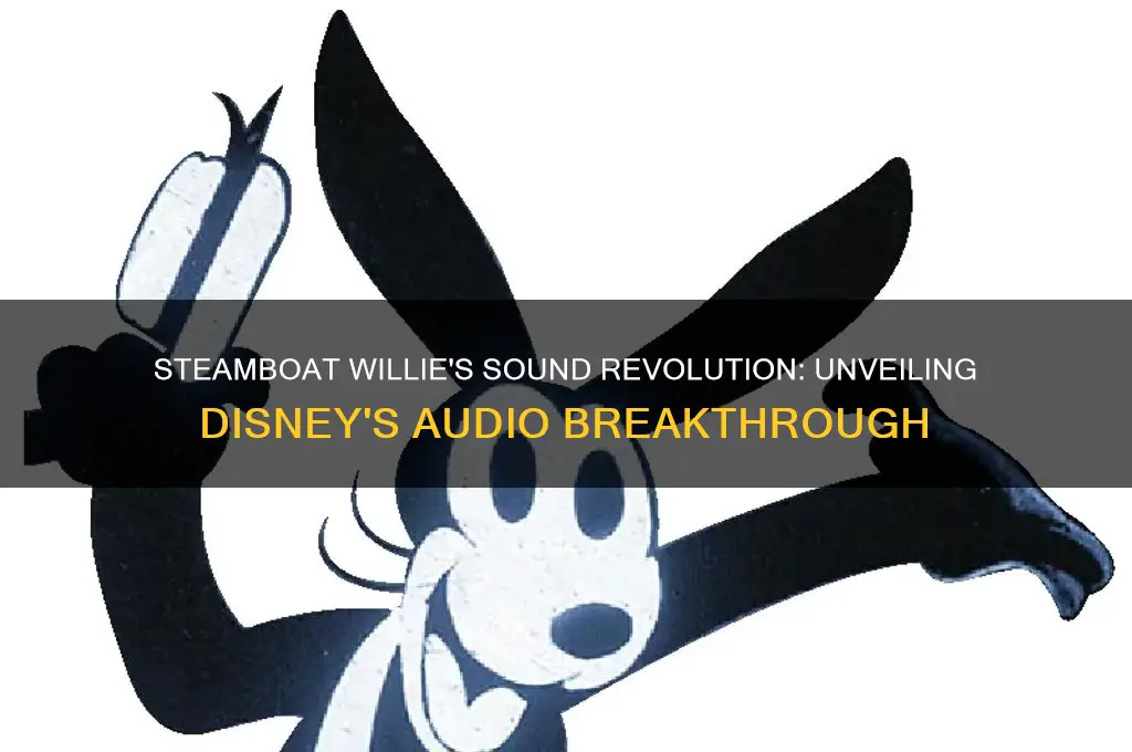 did steamboat willie have sound