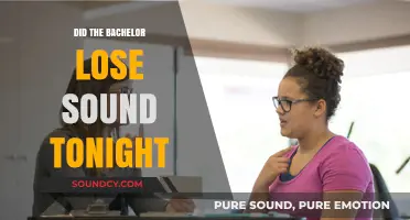 Bachelor's Sound Glitch: What Happened?