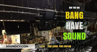 The Universe's Silent Bang: Soundless Creation?