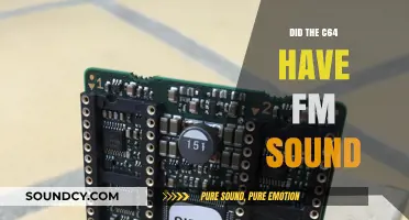 Exploring the C64's Audio Capabilities: FM Sound Included?