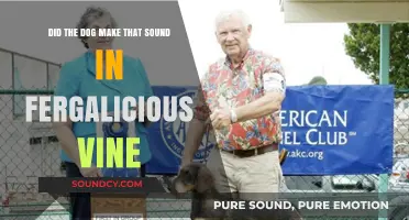 Fergalicious Vine Mystery: Did a Dog Really Make That Iconic Sound?