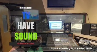 The Evolution of TV: From Silent to Sound