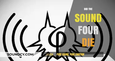 Unraveling the Fate of the Sound Four: Alive or Gone Forever?