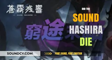 Did the Sound Hashira Die? Unraveling Tengen Uzui's Fate in Demon Slayer
