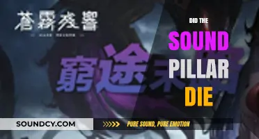 Did the Sound Pillar Die? Unraveling the Fate of Tengen Uzui