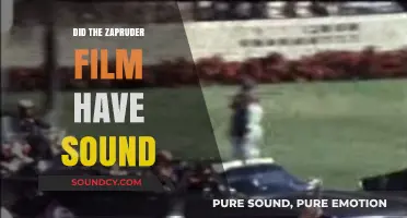 Zapruder Film: Sound or Silence?