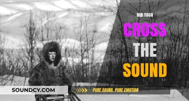 Did Togo Cross the Sound? Unraveling the Mystery of the Journey
