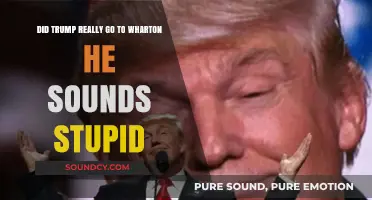 Trump's Wharton Education: Fact or Fiction? Debunking the 'Stupid' Myth
