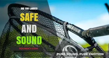 Safe Arrival: Sound Landing Techniques