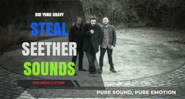 Gravy's Music: A Seether-like Sound or an Original Creation?