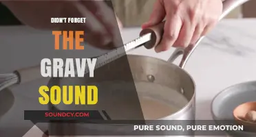 Gravy Sounds: A Tasty Audio Treat