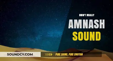 Unraveling the Mystery: What Does 'Amnash Sound' Really Mean?