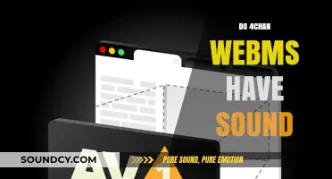 Exploring 4chan WebMs: Do These Files Include Audio?