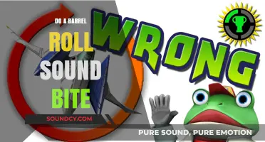 Do a Barrel Roll" Meme: The Sound Bite Explaine