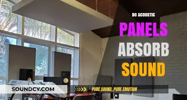 Do Acoustic Panels Absorb Sound? Unveiling Their Noise Reduction Capabilities