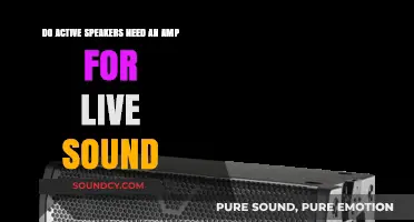Active Speakers and Amps: Essential Gear for Live Sound Setup?