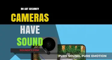 ADT Cameras: Do They Record Audio?