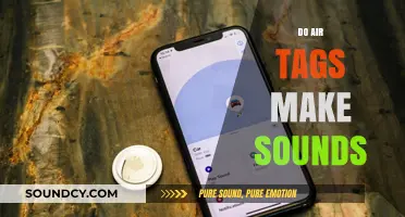 Do AirTags Make Sounds? Understanding Alerts and Notifications