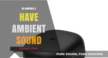 AirPods 2: Ambient Noise or Just Rumors?
