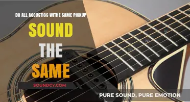 Do All Acoustics with the Same Pickup Sound Identical?