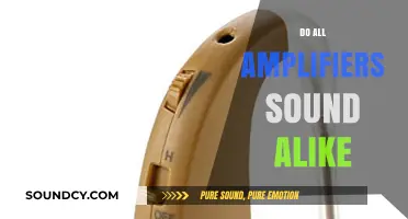 Do All Amplifiers Sound Alike? Unraveling Audio Myths and Facts