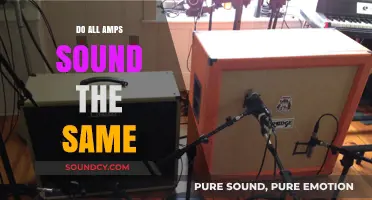 Amplifiers: Do They All Sound Alike?