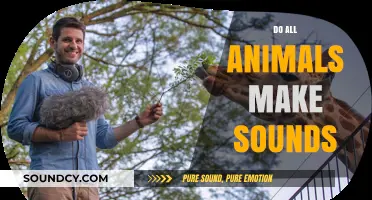 Do All Animals Communicate Vocally? Exploring the Sounds of the Animal Kingdom