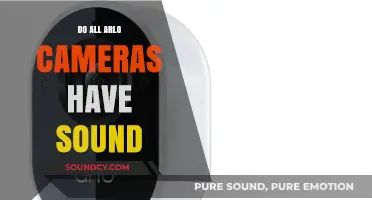Arlo Camera Audio: What You Need to Know
