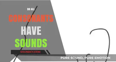 Do All Consonants Produce Sounds? Exploring Phonetics and Speech Mechanics